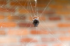 IMG-3078
