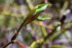 IMG-6027