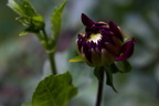 IMG-8689